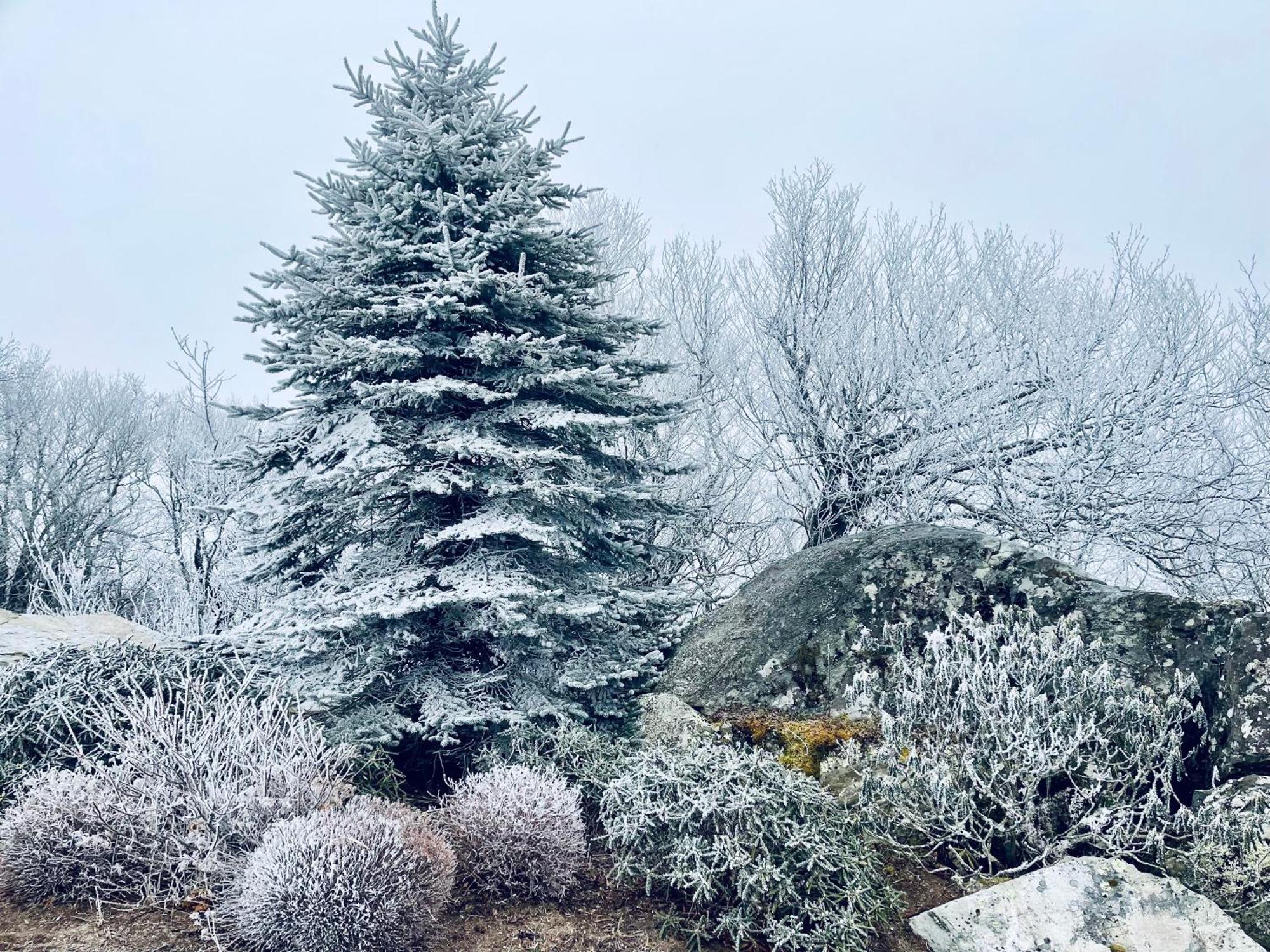 Bucket List Views Sugar Mountain Private Condo - 2Bed, 2Bath, Sleeps 6, Panoramic Views Of Mountains From Large Deck, Short Drive To Shopping, Restaurants, Cafes & Banner Elk Town Bagian luar foto